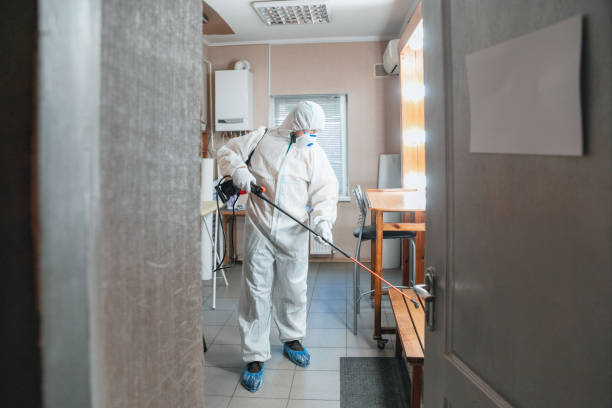 Trusted Hardwick, GA Mold Removal Experts