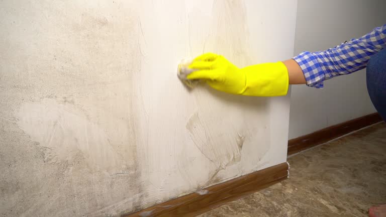 Best Residential Mold Inspection & Testing  in Hardwick, GA
